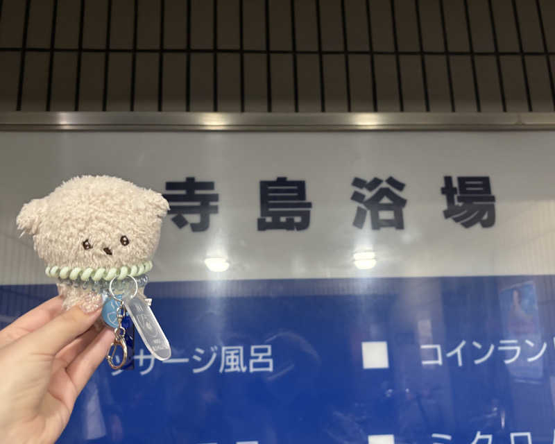 ゅゅゅ 🫧さんの寺島浴場のサ活写真