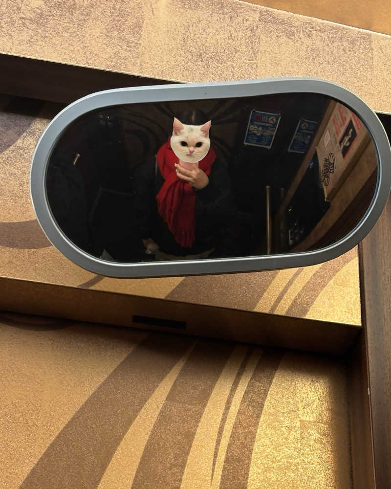 ゅゅゅ 🫧さんのサウナリゾートオリエンタル上野 (センチュリオンホテル&スパ上野駅前)のサ活写真