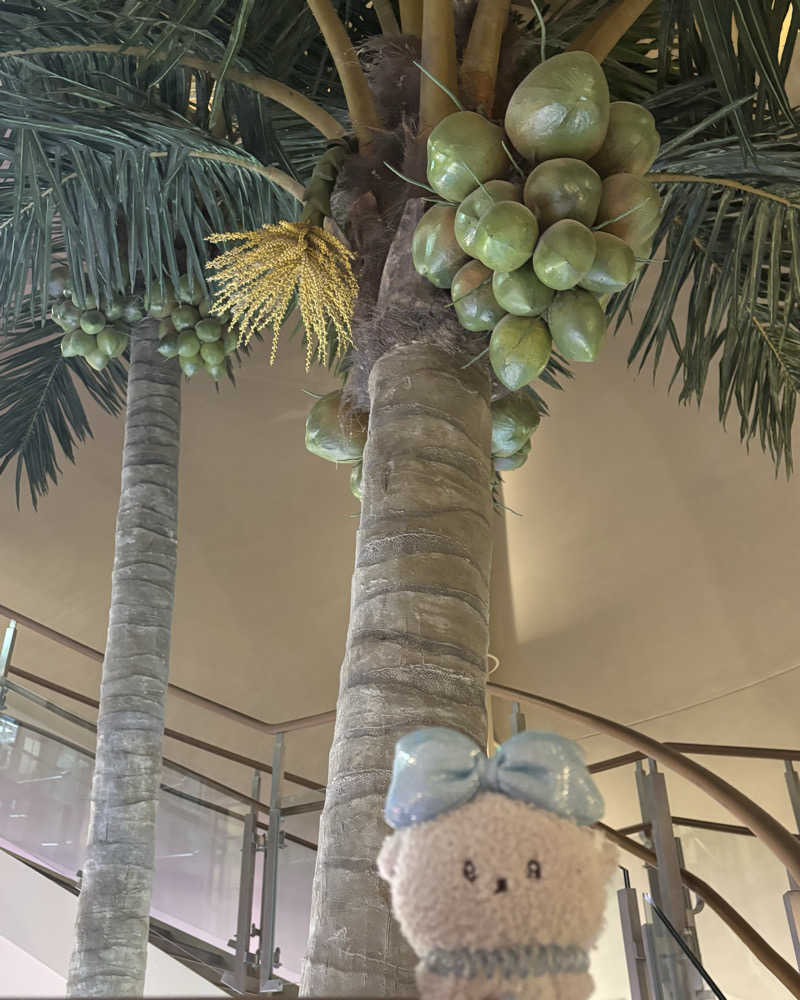 ゅゅゅ 🫧さんのスパ&ホテル 舞浜ユーラシアのサ活写真