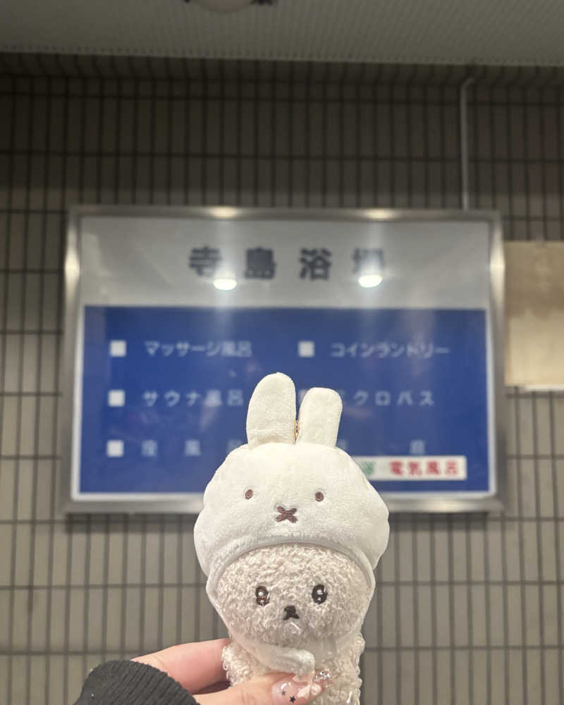 ゅゅゅ 🫧さんの寺島浴場のサ活写真