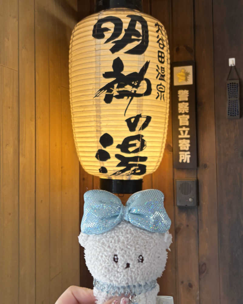 ゅゅゅ 🫧さんの大谷田温泉 明神の湯のサ活写真