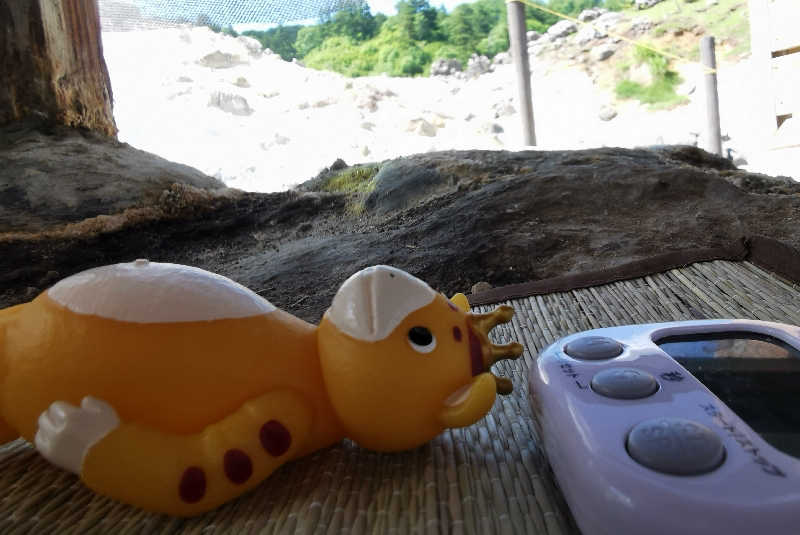 ちや🍀さんの玉川温泉のサ活写真