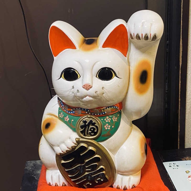 Ceylon🦭(きくりん)さんの昭島 富士見湯のサ活写真