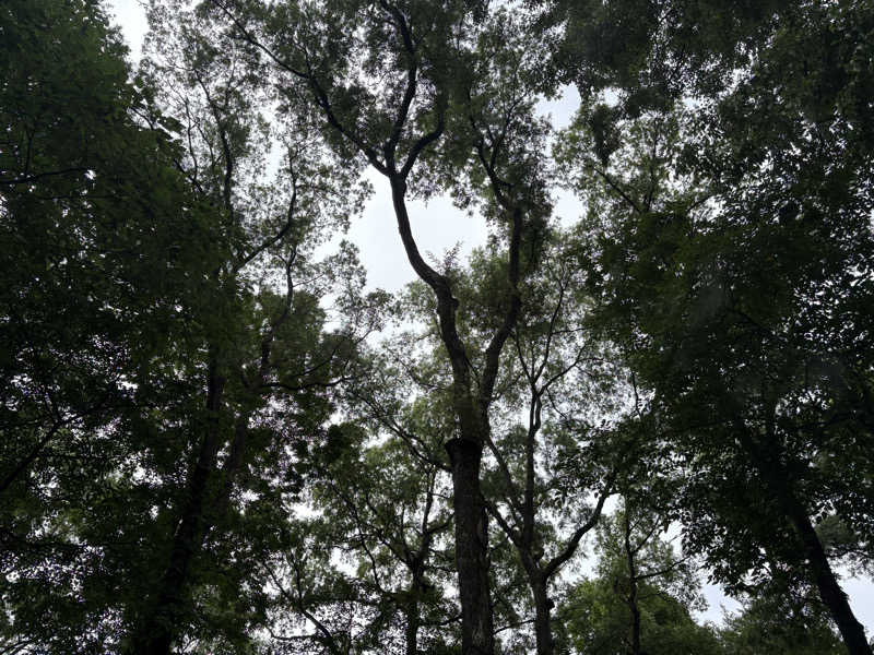 はいどさんのThe Saunaのサ活写真