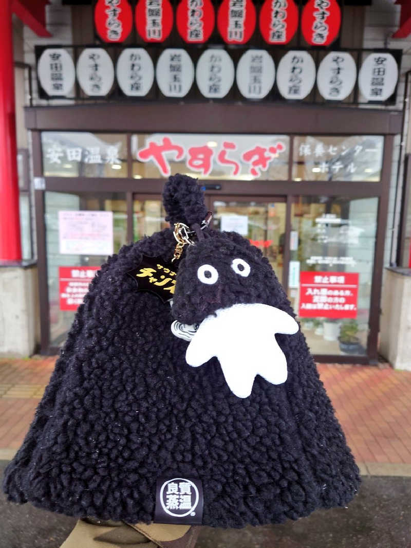 dkさんの安田温泉 ホテルやすらぎのサ活写真