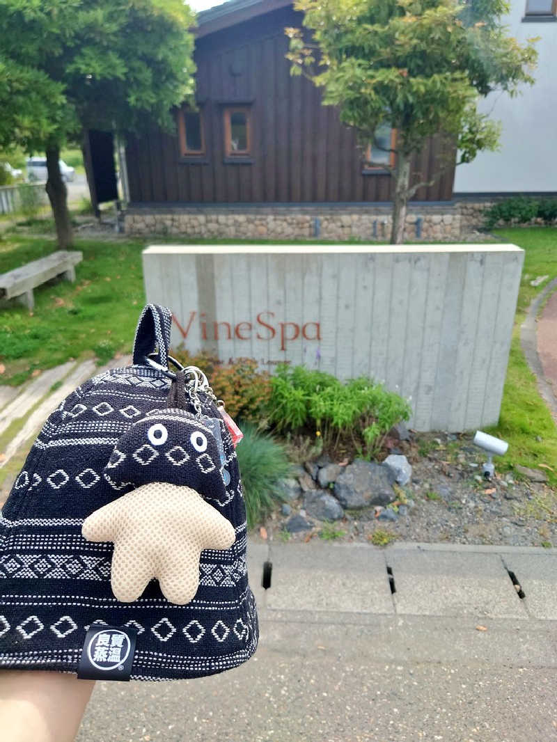 dkさんのカーブドッチヴィネスパのサ活写真