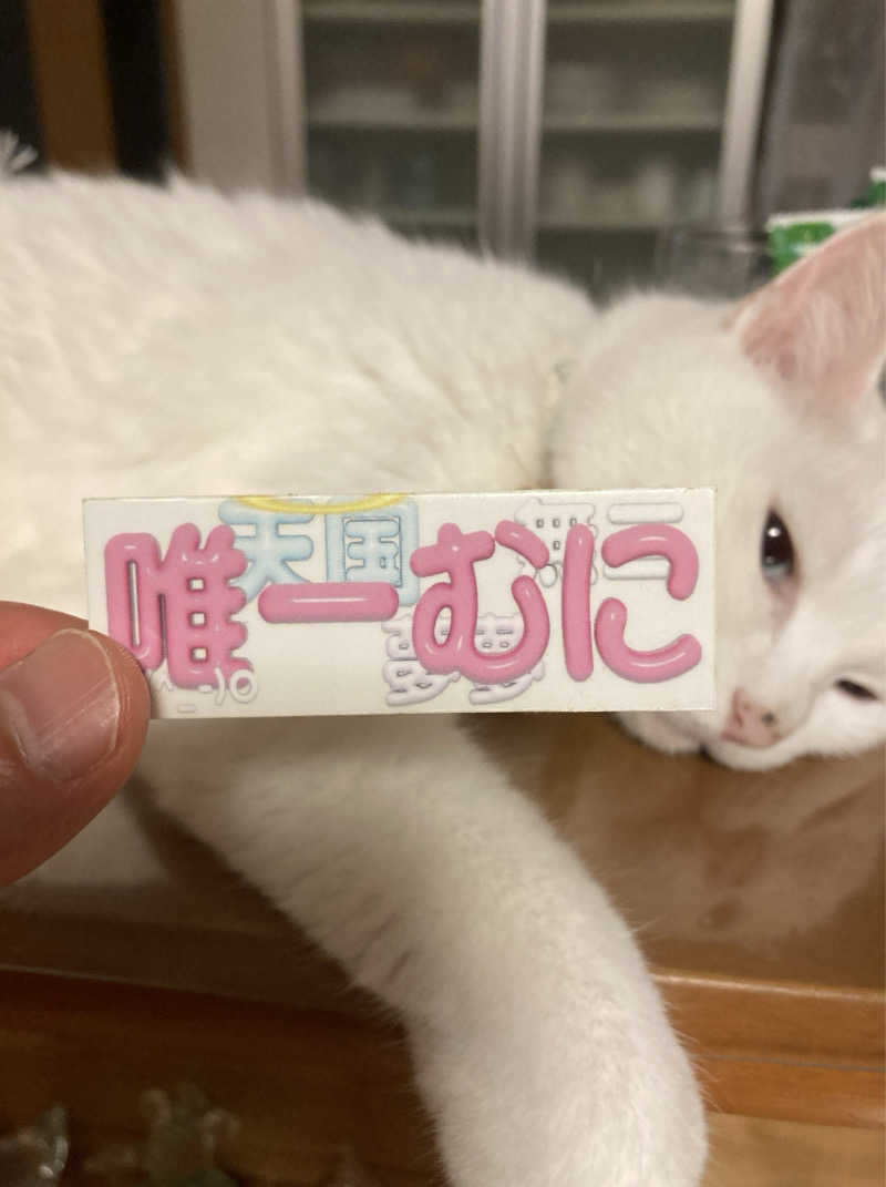鉄馬ライダーさんのサウナリゾートオリエンタル赤坂のサ活写真