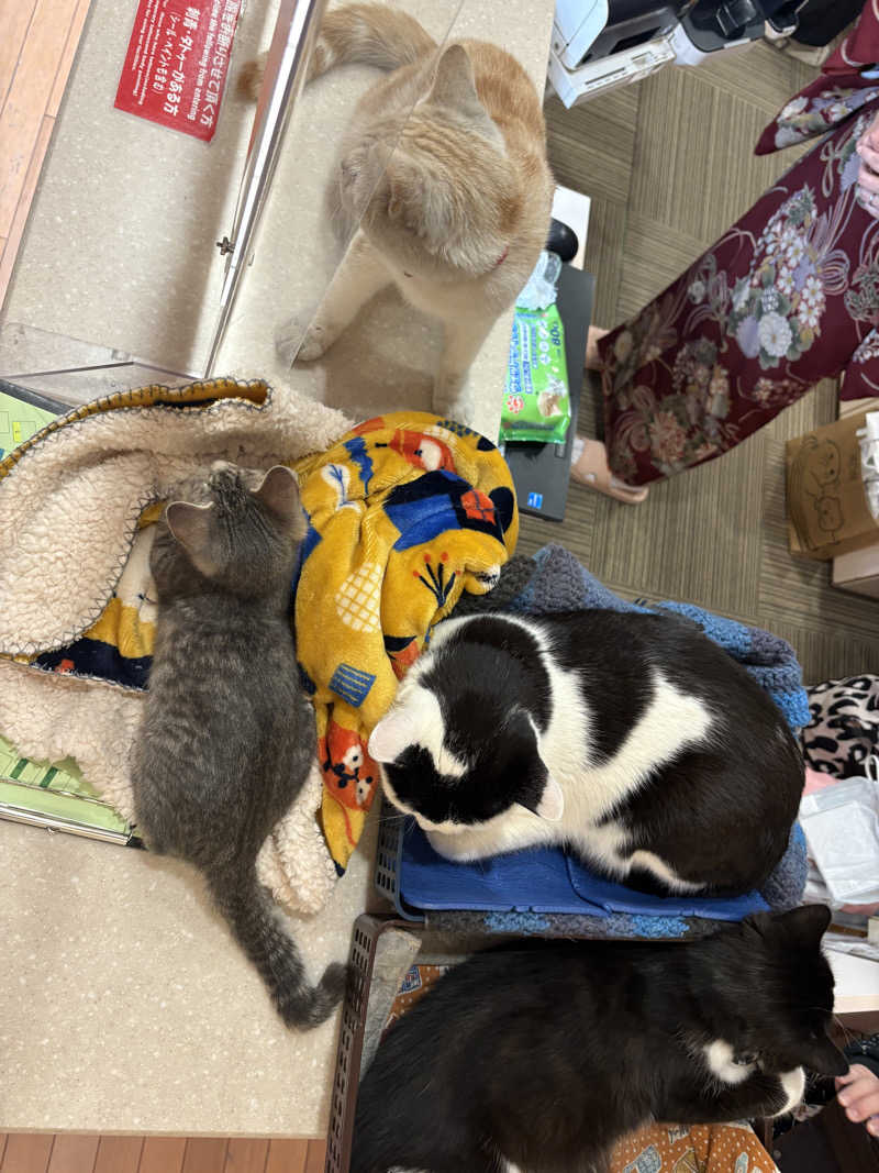 タケ@蒸親父さんの行田・湯本天然温泉 茂美の湯のサ活写真