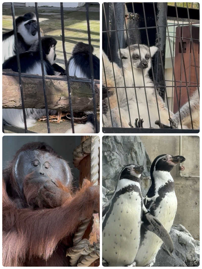 水冷さんのキトウシの森きとろんのサ活写真