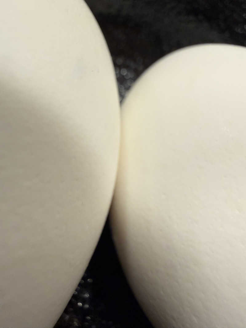 wkwkさんさんの湯乃泉 草加健康センターのサ活写真