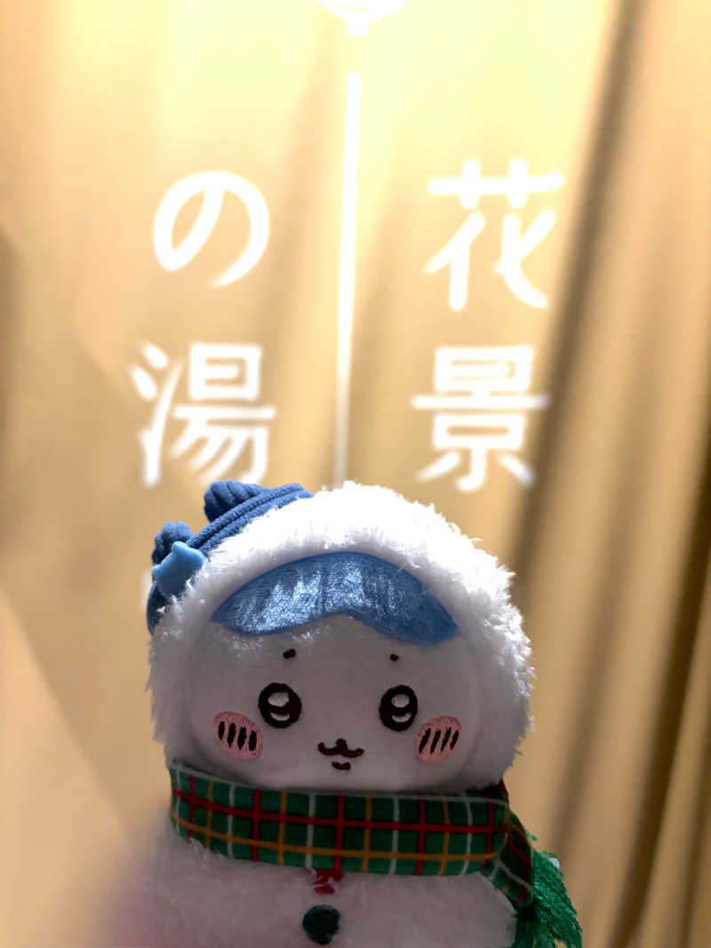 ちぴさんのよみうりランド眺望温泉 花景の湯のサ活写真