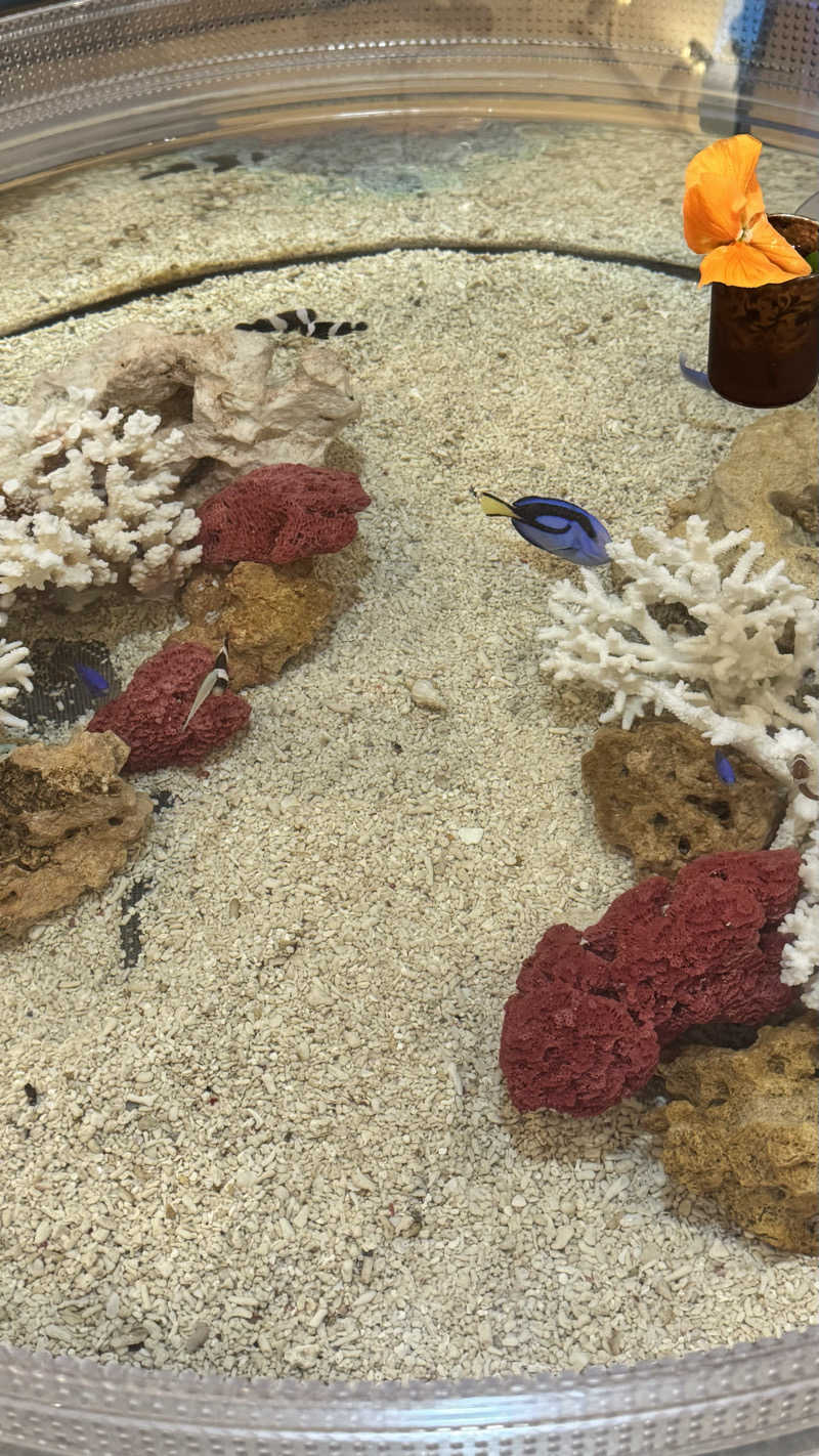 nさんの福美湯のサ活写真