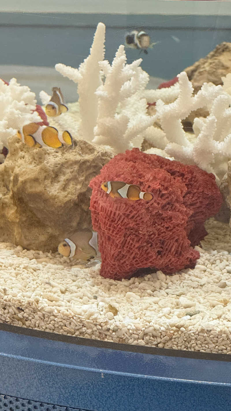 nさんの福美湯のサ活写真