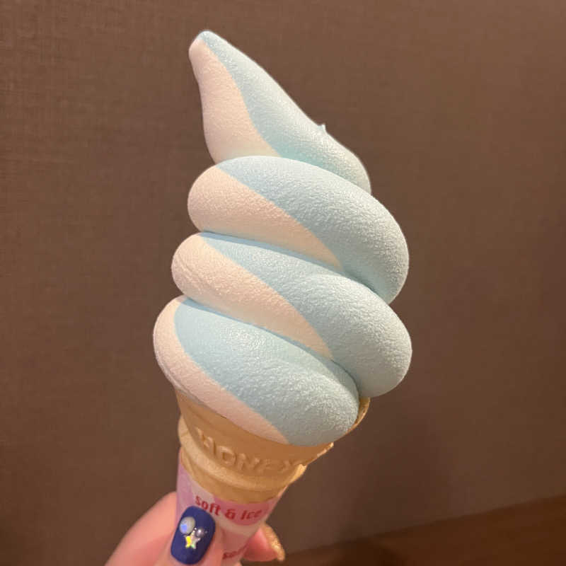 meruさんの瀬戸大橋四国健康村のサ活写真