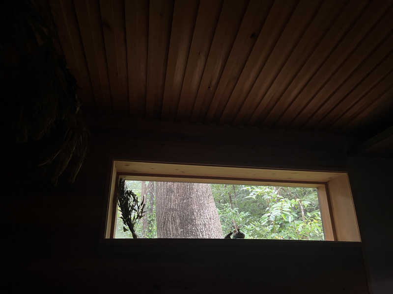 meruさんのBUNA SAUNAのサ活写真