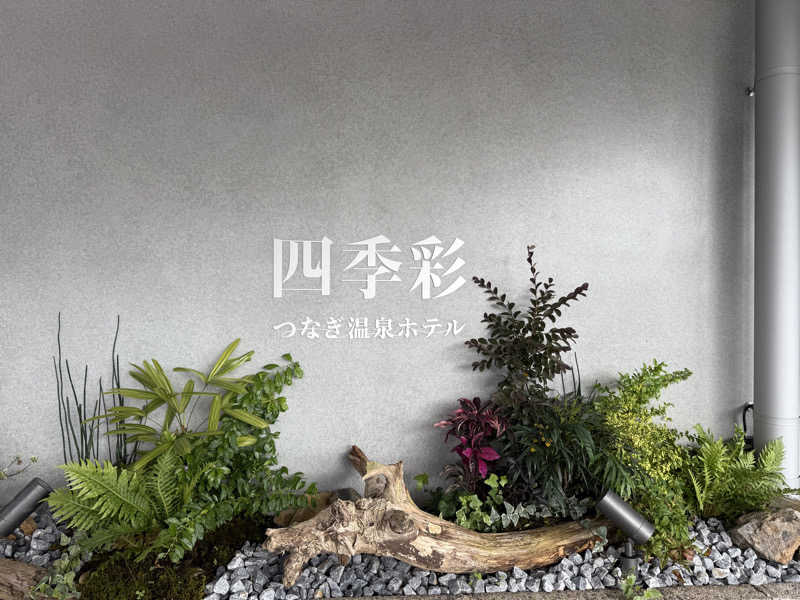 しおりんさんの津奈木温泉 四季彩のサ活写真