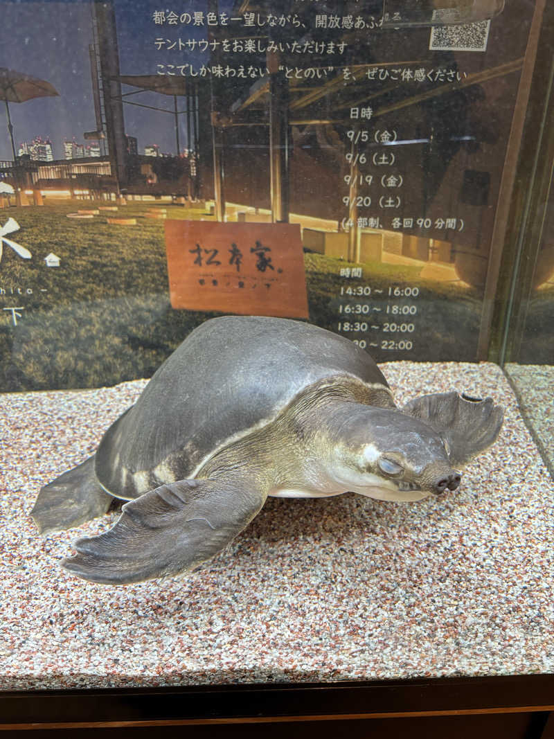 じゅさんの松本湯のサ活写真