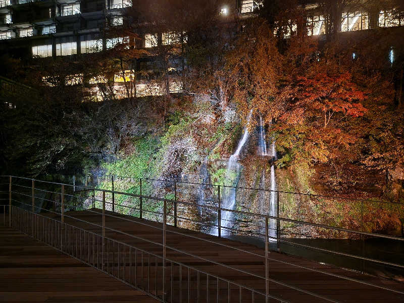 のさんの大江戸温泉物語 premiumホテルニュー塩原のサ活写真