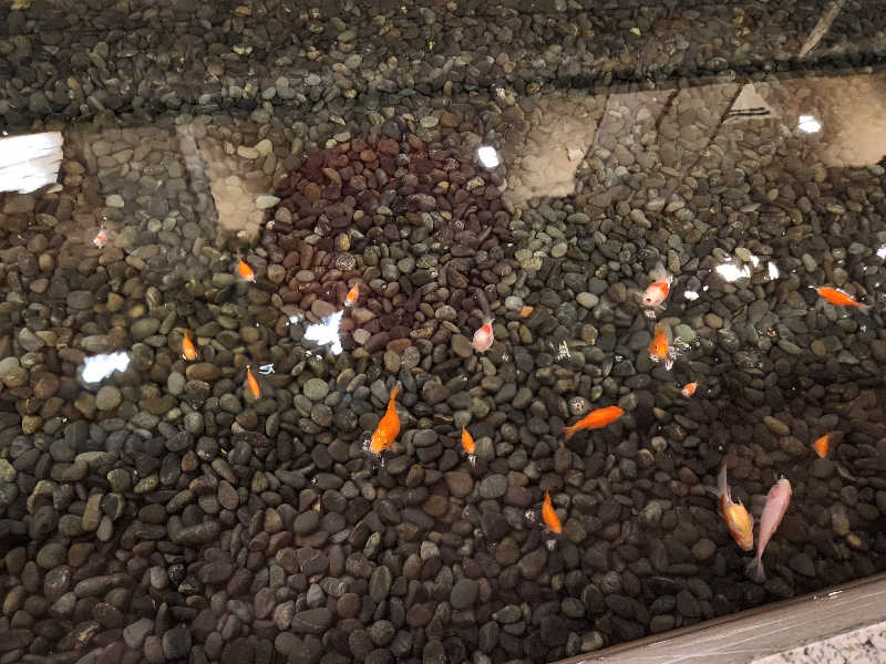 のさんの越後平野と弥彦連山一望の宿 穂々-hoho-のサ活写真