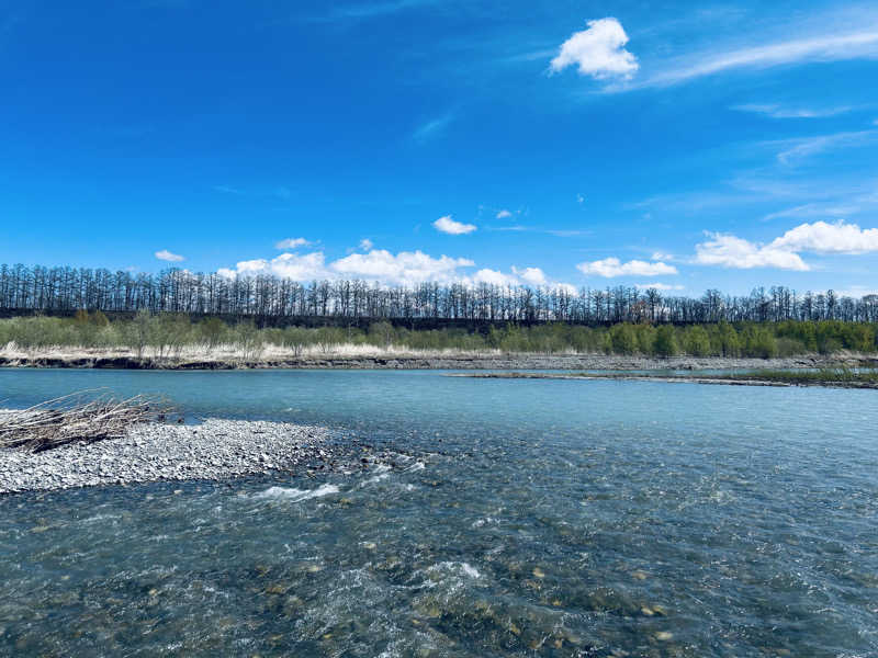 名もなきサウナーさんの森のスパリゾート 北海道ホテルのサ活写真