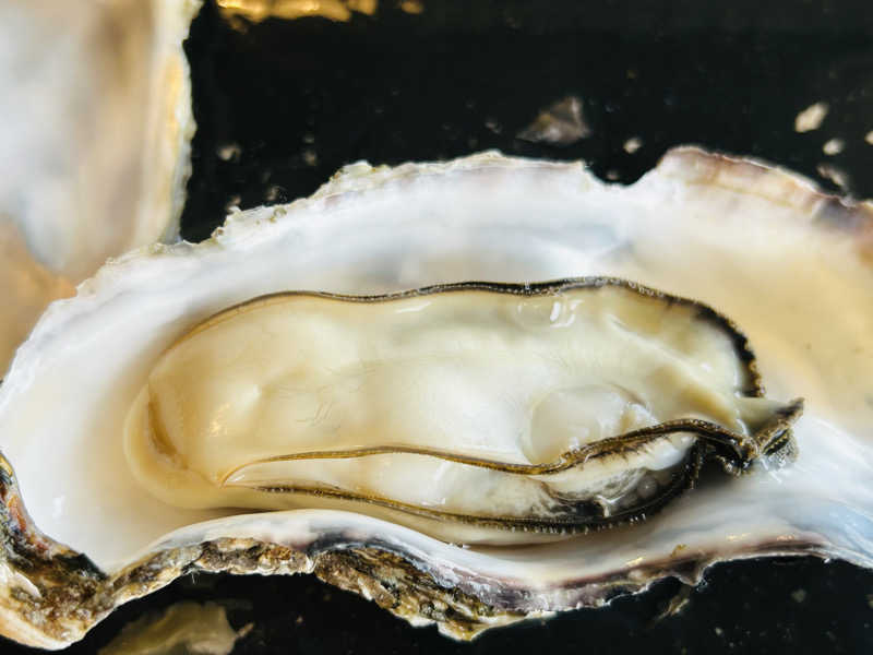 名もなきサウナーさんの幣舞の湯 ドーミーインPREMIUM釧路のサ活写真