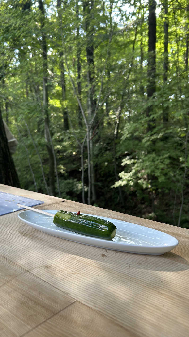 ショーンさんの軽井沢プライベートアウトドアサウナkaveriのサ活写真