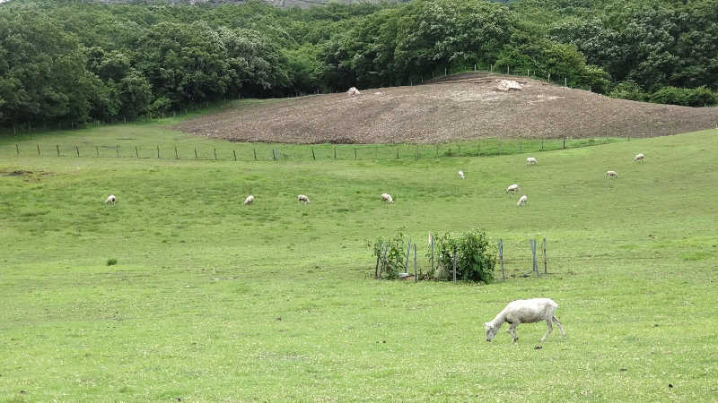 たいすけさんのヌクヌクの湯のサ活写真