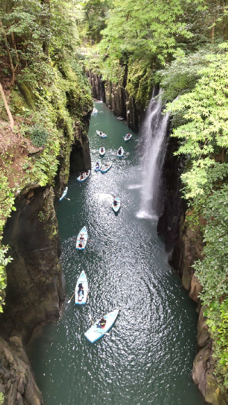 たいすけさんの新富町温泉健康センターサン・ルピナスのサ活写真