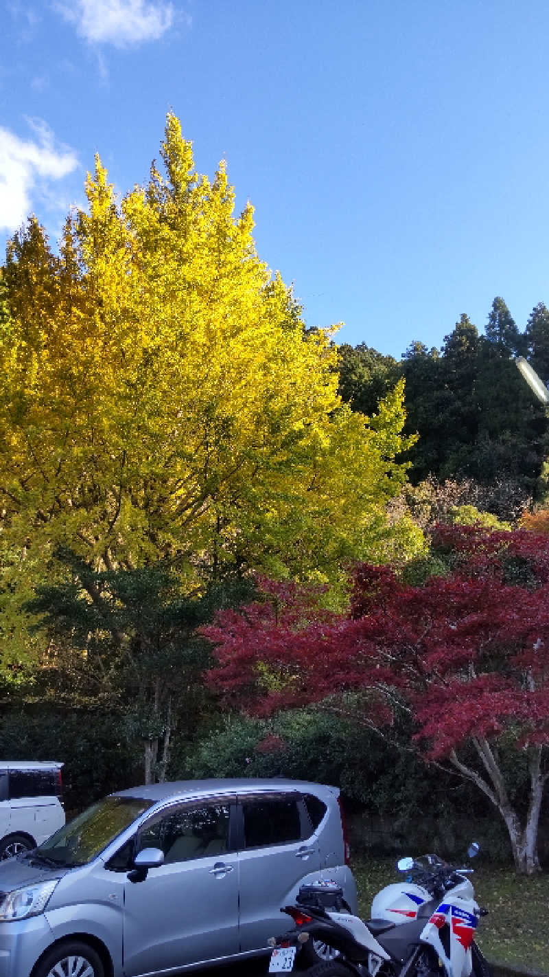 たいすけさんの湯の里 渓泉のサ活写真