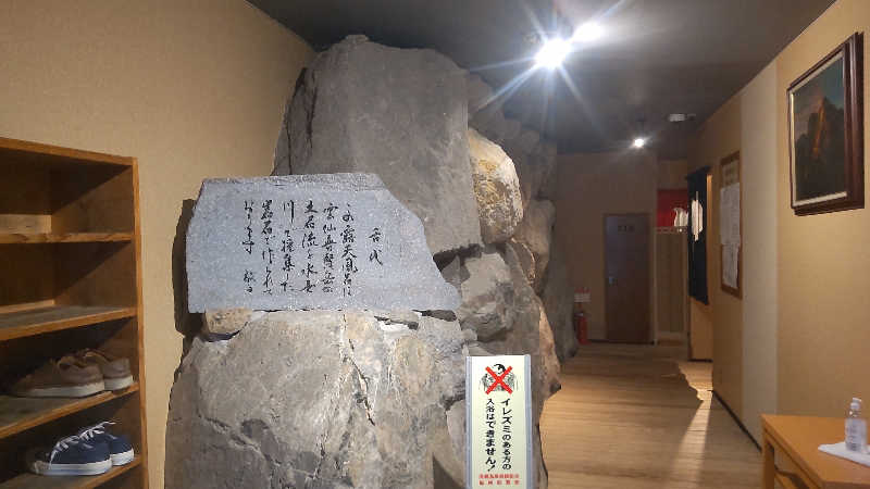 たいすけさんのビューホテル平成のサ活写真