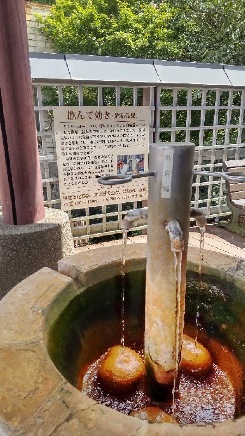 たいすけさんの温泉療養文化館 御前湯のサ活写真