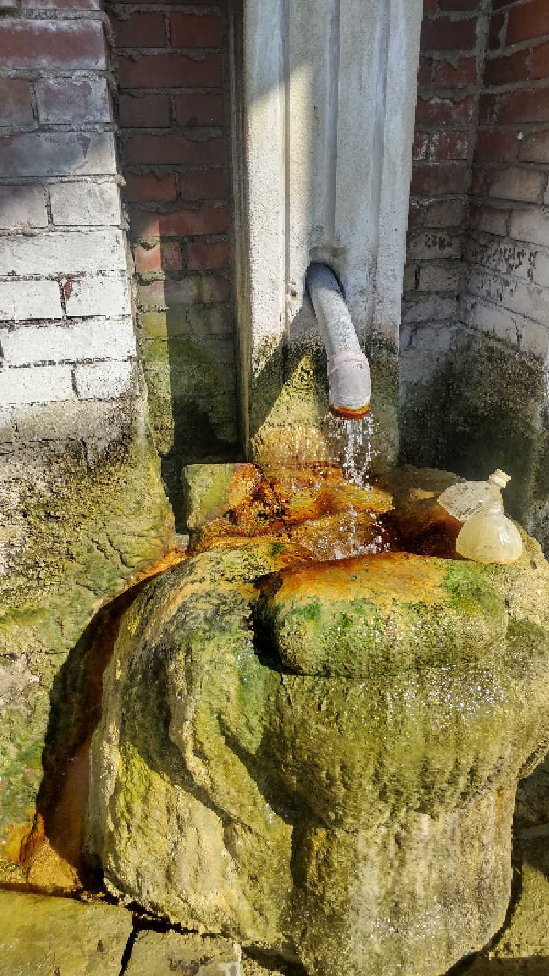 たいすけさんの湯処 ゆの花 (長湯温泉 かじか庵)のサ活写真