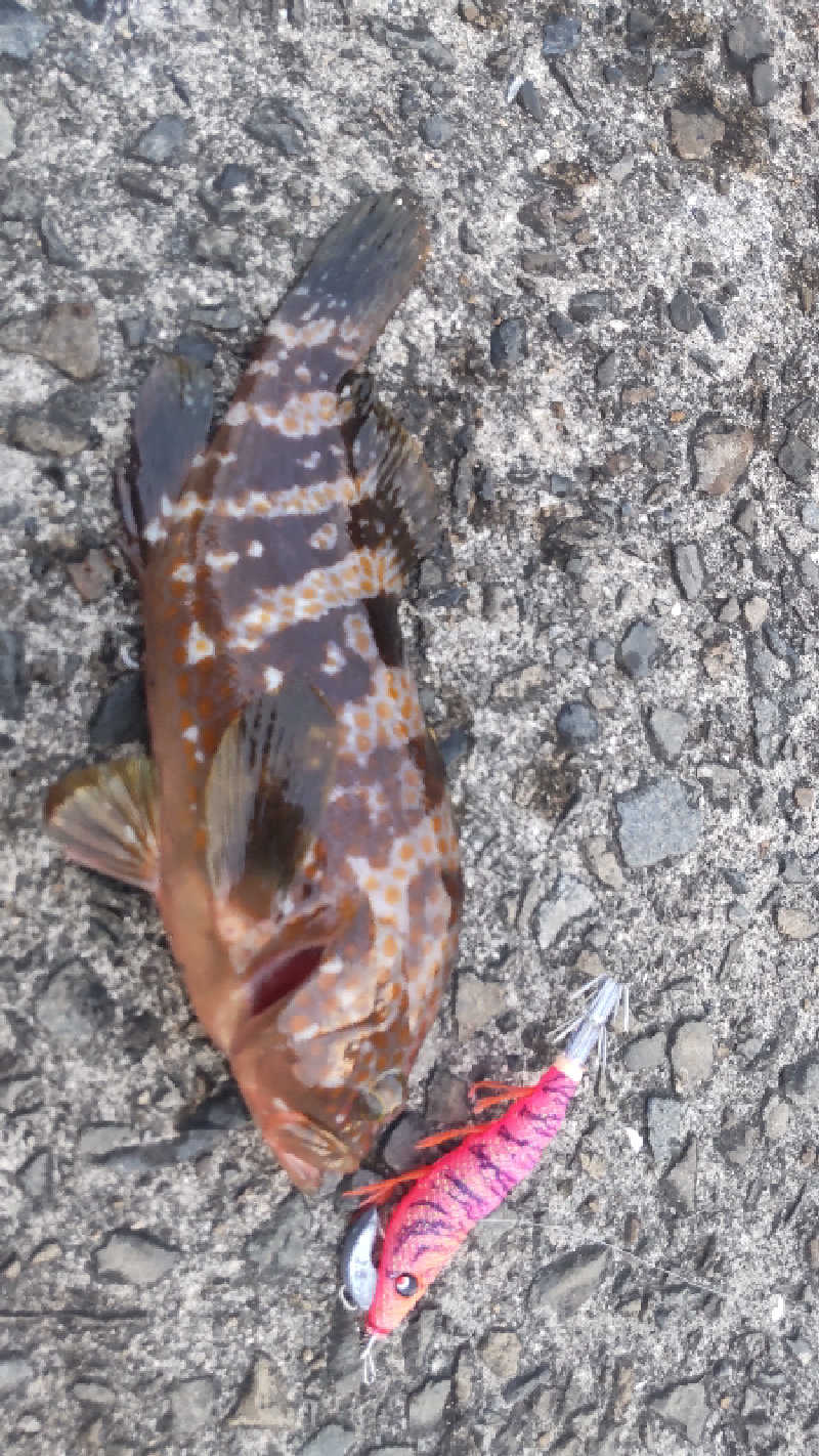 たいすけさんの太陽の里温泉センター 東泉望のサ活写真