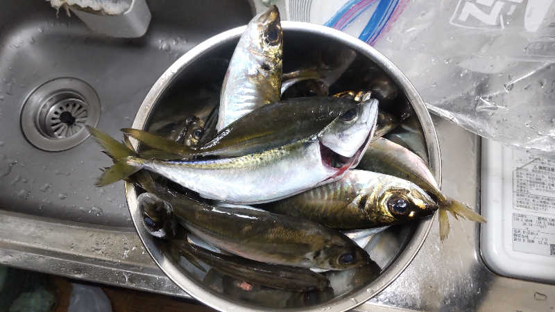 たいすけさんの山香温泉 風の郷のサ活写真