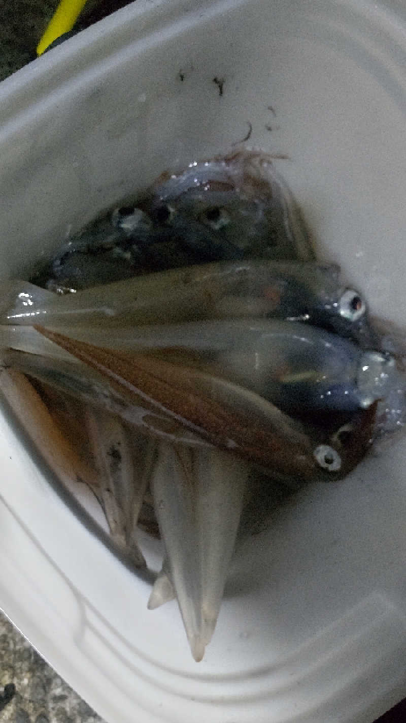 たいすけさんの湯免ふれあいセンターのサ活写真
