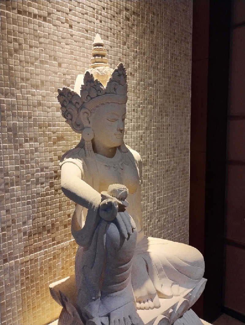 taku_tsuru__さんのていね温泉ほのかのサ活写真