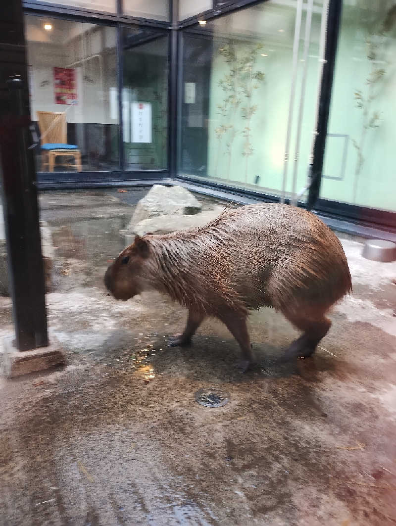 taku_tsuru__さんの石狩天然温泉 番屋の湯のサ活写真