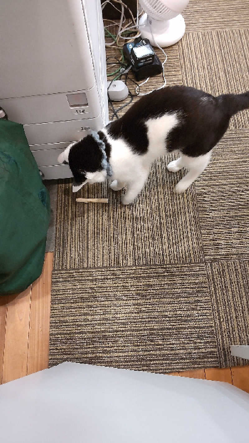 まっつ@馬骨さんの行田・湯本天然温泉 茂美の湯のサ活写真