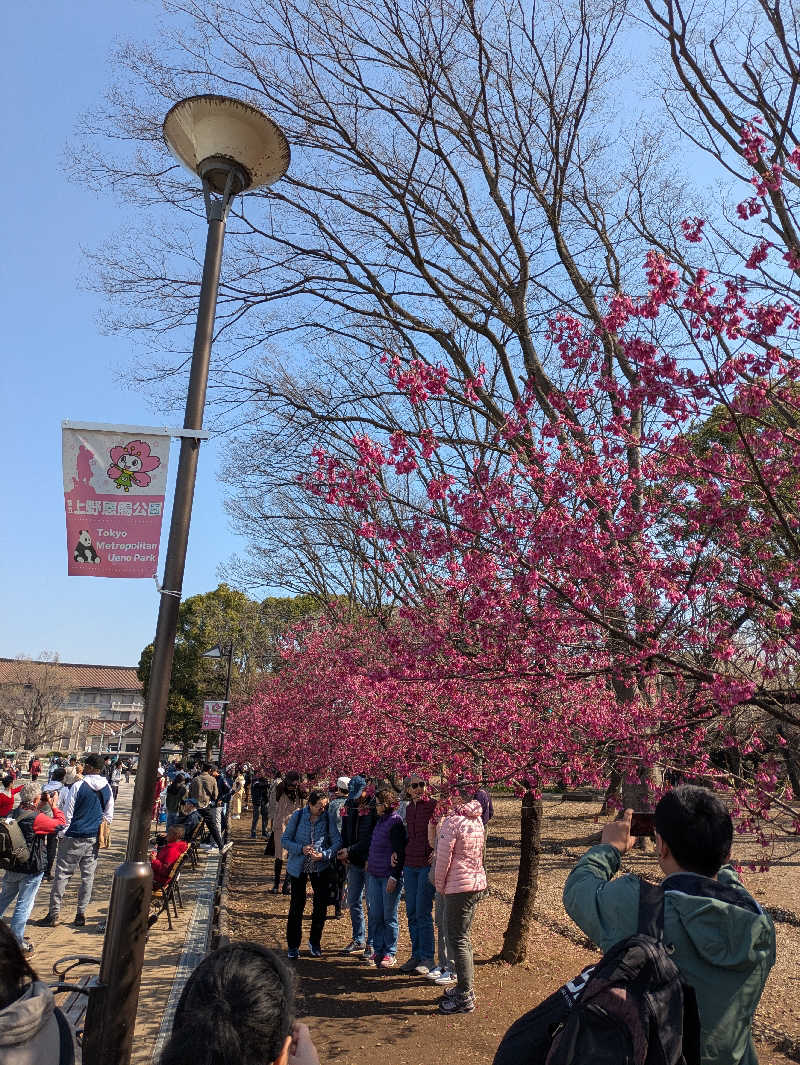 とあるサウナー🔰さんのサウナ&カプセルホテル 北欧のサ活写真