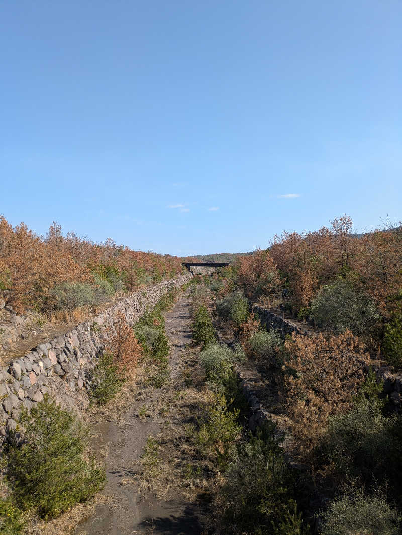 ふくおかさうなーさんのニューニシノサウナ&天然温泉のサ活写真