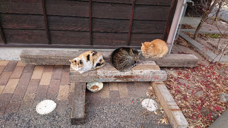 DAKEさんの竜崎温泉ちどり 潮風の湯のサ活写真