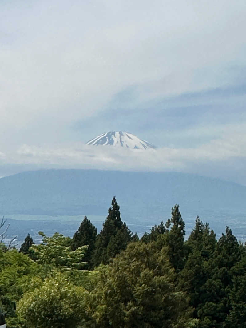 武田敏昭さんの富士八景の湯のサ活写真