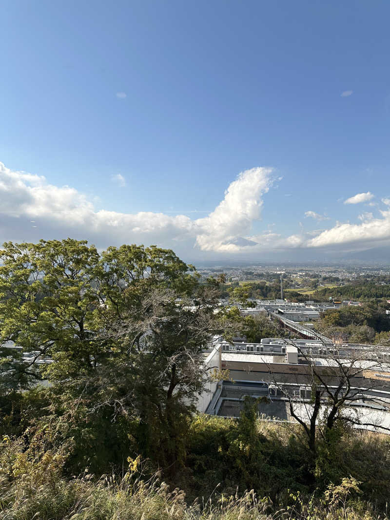 武田敏昭さんの木の花の湯(HOTEL CLAD)のサ活写真