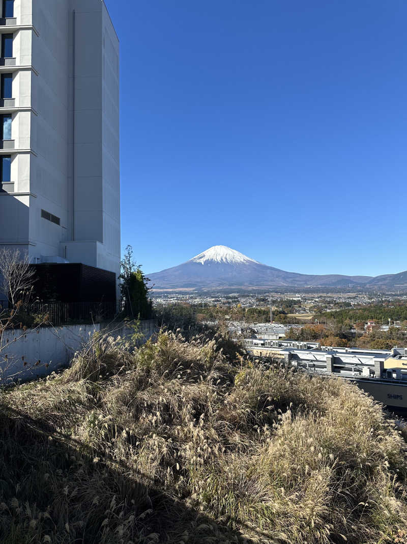 武田敏昭さんの木の花の湯(HOTEL CLAD)のサ活写真