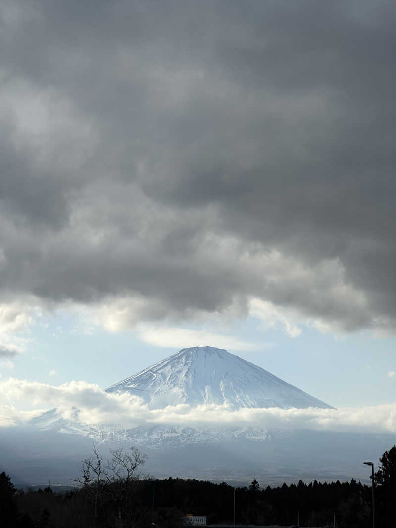 武田敏昭さんの木の花の湯(HOTEL CLAD)のサ活写真