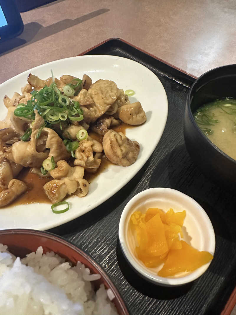 武田敏昭さんのスパリゾート オアシス御殿場のサ活写真