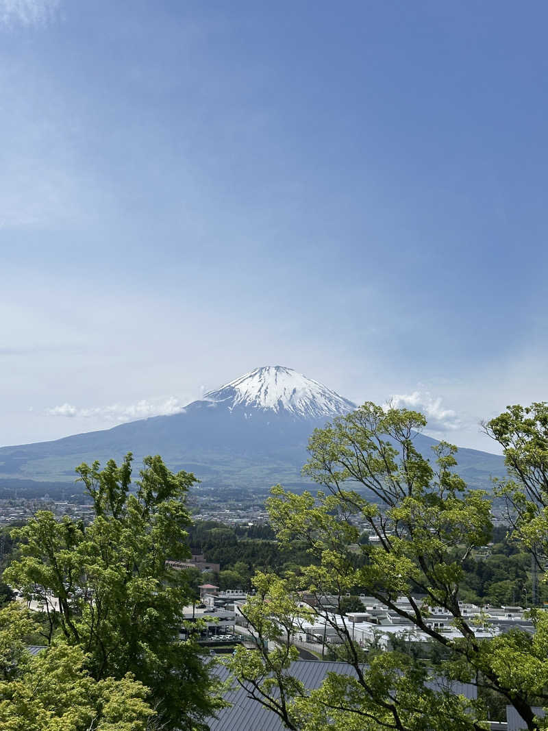 武田敏昭さんの木の花の湯(HOTEL CLAD)のサ活写真