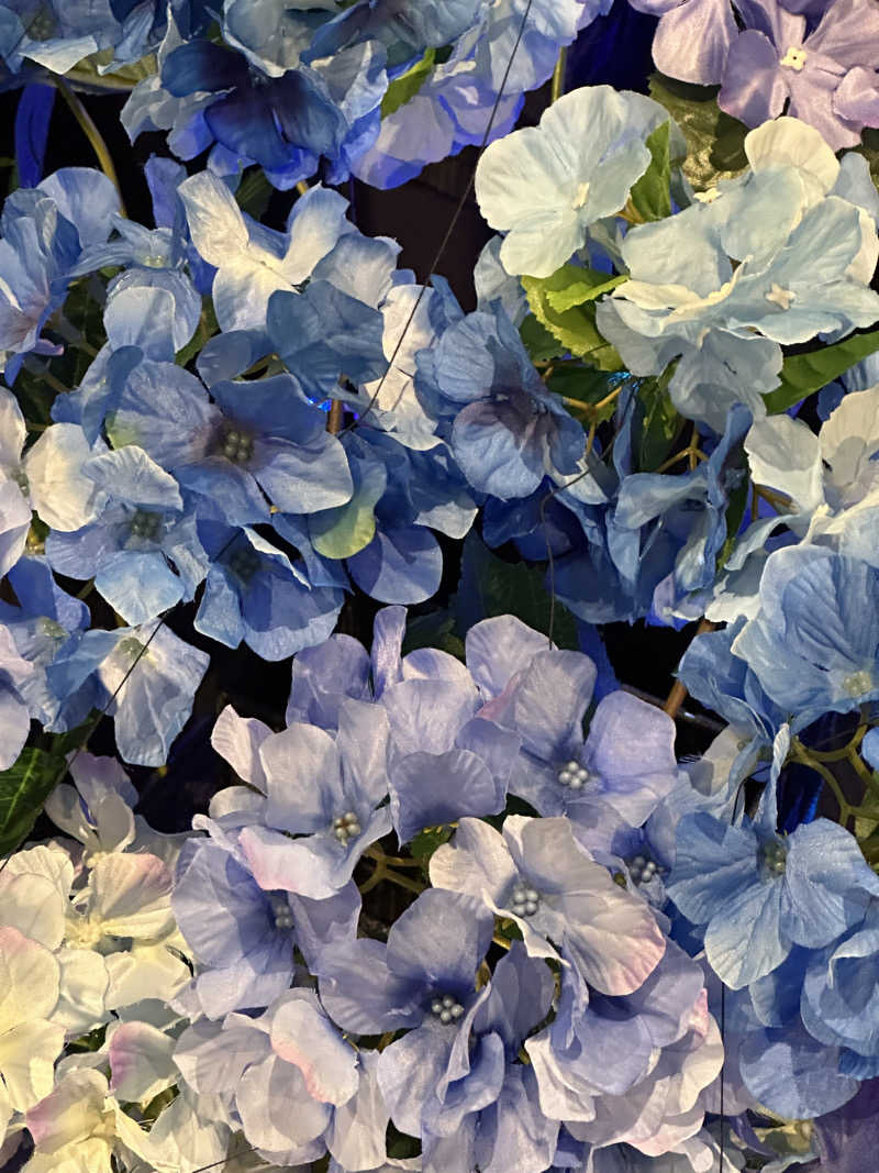 武田敏昭さんの木の花の湯(HOTEL CLAD)のサ活写真