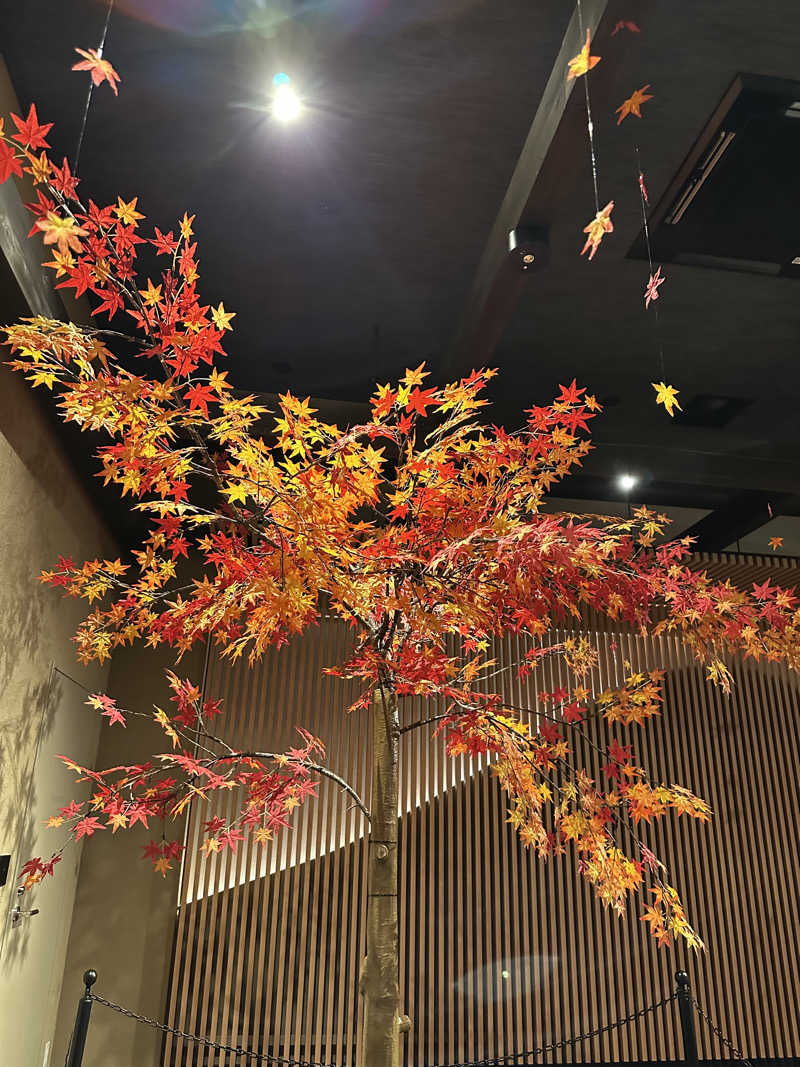 武田敏昭さんの木の花の湯(HOTEL CLAD)のサ活写真
