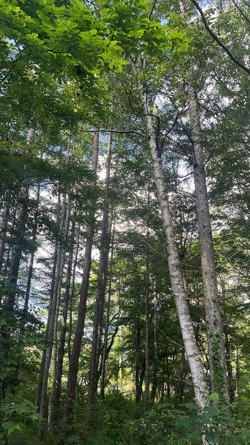 Eさんのグランドメルキュール八ヶ岳のサ活写真